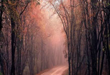 虎扑NBA官网:记者:药厂很有机会说服J-加西亚加盟,转会费1500万到2000万欧.