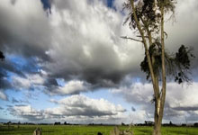 虎扑NBA官网:欧国联CD级组:斯洛伐克小胜爱沙尼亚.