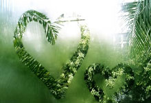 虎扑NBA官网:松弛感拉满!澳大利亚队员在杭州街头喝奶茶.