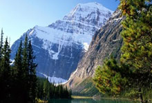 [亚冠]上海申花主场战胜川崎前锋.