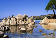 虎扑NBA官网:威少10中2雷霆大胜掘金 兰豆33分森林狼胜国王.